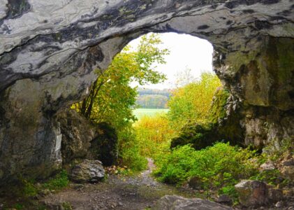 Höhlen der ältesten Eiszeitkunst